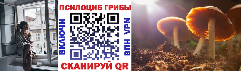 дарнет шоп  Микунь  Галлюциногенные грибы мухоморы 